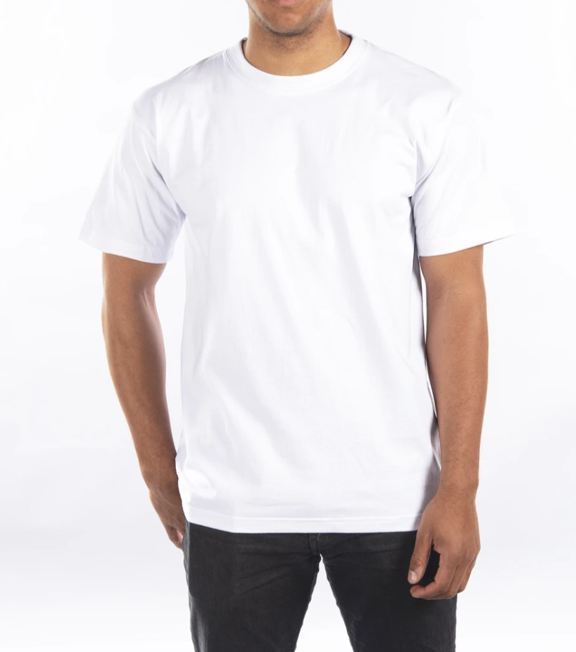 Person wearing a plain white crew t-shirt on a white background